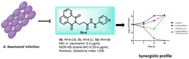 Graphical abstract: Development of naphthalimide hydrazide derivatives as potent antibacterial agents against carbapenem-resistant A. baumannii