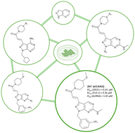 Graphical abstract: Ligand-centred phenotype-driven development of potent kinase inhibitors against oesophageal cancer