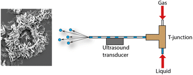 Graphical abstract: Microfluidic generation of nanoparticles using standing wave induced ultrasonic spray drying