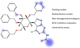 Graphical abstract: Purine nucleosides as selective inhibitors of butyrylcholinesterase – a multidisciplinary study