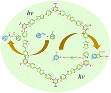 Graphical abstract: Visible-light heterogeneous photocatalysis with an ionic porous organic polymer (IPOP): synthesis of β-keto sulfoxides and benzothiophene diesters by tandem radical addition–oxidation reactions