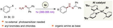 Graphical abstract: Light-promoted, nickel-catalyzed C–N coupling of (hetero)aryl halides with benzophenone hydrazone for the synthesis of nitrogen-containing heterocycles