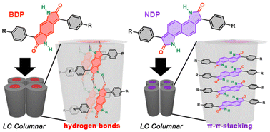 Graphical abstract: Influence of hydrogen bonds and π–π stacking on the self-assembly of aryldipyrrolidones
