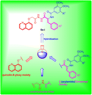Graphical abstract: Design, synthesis and cytotoxic activity of molecular hybrids based on quinolin-8-yloxy and cinnamide hybrids and their apoptosis inducing property