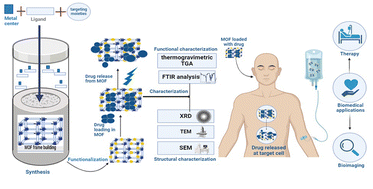 Graphical abstract: Metal–organic frameworks in drug delivery: engineering versatile platforms for therapeutic applications