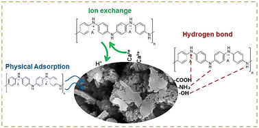 Graphical abstract: Environmental innovation: polyaniline–cuttlebone nanocomposite as a potent antimicrobial agent and a synergistic barrier against doxorubicin-induced toxicity