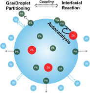 Graphical abstract: Enhanced condensation kinetics in aqueous microdroplets driven by coupled surface reactions and gas-phase partitioning