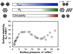 Graphical abstract: Relationship between π–A isotherms and single microgel/microgel array structures revealed via the direct visualization of microgels at the air/water interface
