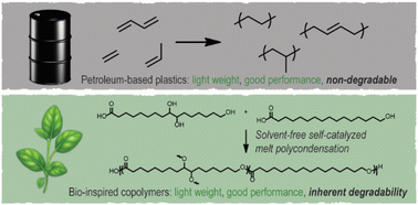 Graphical abstract: High performance long chain polyesters via melt copolymerization of cutin-inspired monomers