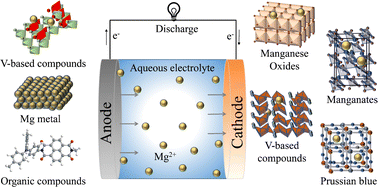 Graphical abstract: Recent advances in rechargeable aqueous magnesium-ion batteries