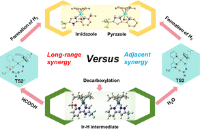 Graphical abstract: Functionalized pyridyl diazole iridium complex catalyzed FA dehydrogenation: synergistic effect of adjacent versus long-range interaction