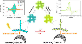 Graphical abstract: Unveiling π–π interactions in triptycene-phenazine/SWCNT redox chemistry using ESR spectroscopy