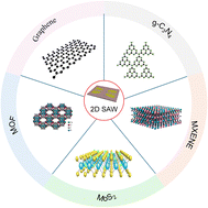 Graphical abstract: A review on 2D materials for surface acoustic wave gas sensors at room temperature
