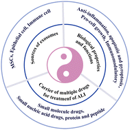 Graphical abstract: Exosomes of different cellular origins: prospects and challenges in the treatment of acute lung injury after burns