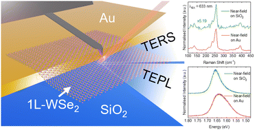 Graphical abstract: Benchmarking TERS and TEPL probes: towards a reference sample for quantification of near-field enhancement factors in gap and non-gap modes