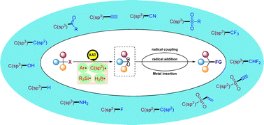 Graphical abstract: Synthetic applications of electro/photochemical halogen atom transfer (XAT)-driven carbon radical chemistry