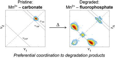 Graphical abstract: Transition metal coordination to degradation products in battery electrolytes revealed by NMR and EPR spectroscopy