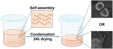 Graphical abstract: Silylated peptides as building blocks for material synthesis using sol–gel polymerization
