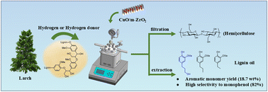 Graphical abstract: Efficient hydrogenolysis of lignocellulose into phenolic monomers over a CuO/m-ZrO2 catalyst
