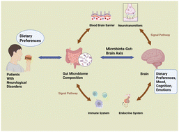 Graphical abstract: The role of gut microbiota in shaping and modulating dietary preferences in neurological diseases: implications for microbiota-targeted interventions