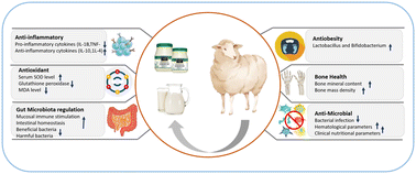 Graphical abstract: Unlocking the nutritional and bioactive potential of sheep milk: implications for food and health