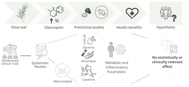 Graphical abstract: Metabolic and inflammatory effects of oleuropein and olive leaf extract: a systematic review and meta-analysis