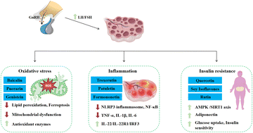 Graphical abstract: Flavonoids and polycystic ovary syndrome