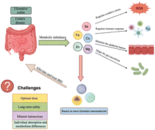 Graphical abstract: Nutritional trace elements influence the pathogenesis and resolution of inflammatory bowel disease