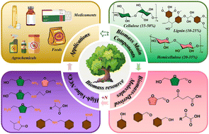 Graphical abstract: Sustainable synthesis of nitrogen-containing chemicals from biomass-derived carbonyls: catalytic strategies and mechanistic perspectives in multicomponent systems
