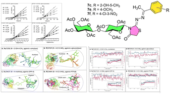 Graphical abstract: Lactose-conjugated 2-iminothiazolidin-4-ones: synthesis, inhibitory activity and molecular simulations as potential inhibitors against enzymes responsible for type 2 diabetes