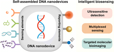 Graphical abstract: Self-assembled DNA nanodevices for intelligent biosensing