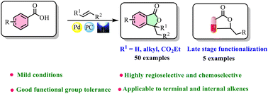 Graphical abstract: Dual palladium-organophotoredox catalyzed C–H olefination–annulation of aryl carboxylic acids
