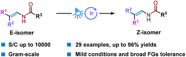 Graphical abstract: Photocatalyzed E → Z contra-thermodynamic isomerization of enamides
