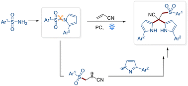 Graphical abstract: Pyrrolyl-radical-based di-/tri-functionalization of alkenes using sulfonyl pyrroles via radical/radical cross-coupling