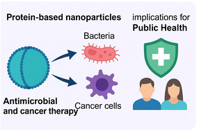 Graphical abstract: Protein-based nanoparticles for antimicrobial and cancer therapy: implications for public health