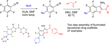 Graphical abstract: Synthesis of fluorinated 3-aminobenzofurans via a tandem SNAr-cyclocondensation strategy