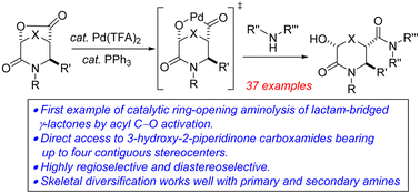 Graphical abstract: Stereocontrolled synthesis of 3-hydroxy-2-piperidinone carboxamides by catalytic ring-opening aminolysis of bridged δ-lactam-γ-lactones