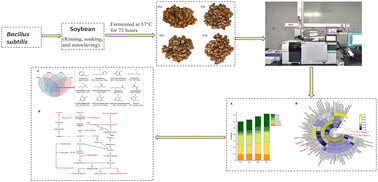 Graphical abstract: Integrating gene knockout, GC-O-MS and multivariate statistical analysis: revealing the impact of fadA and bkdB genes on the aroma characteristics of Bacillus subtilis BJ3-2 fermented soybeans