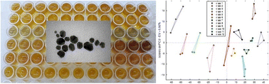 Graphical abstract: Sensor array based on silver nanoprisms for the determination of ethanol content and resolution of water–ethanol mixtures