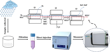 Graphical abstract: Direct determination of rare earth elements in atmospheric precipitation using a membrane desolvation ICP-MS/MS with N2O as the reaction gas