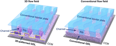 Graphical abstract: Easily accessible 3D flow fields through 3D-patterned GDL to enhance PEMFC performance via excellent water–gas separation transport