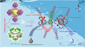 Graphical abstract: Boosting perfluorooctanoic acid capture ability and water stability with a dual synergistic effect MOF-on-MOF adsorbent and insights from DFT calculations