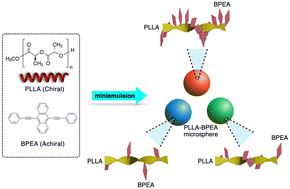Graphical abstract: Induced blue, green, and red-colour circularly polarized luminescence from single dye-doped homochiral poly(lactic acid) microspheres