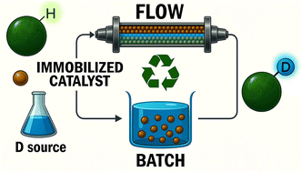 Graphical abstract: Immobilized and recyclable catalysts for deuterium labelling: recent developments and emerging strategies