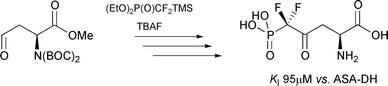 Graphical abstract: Difluoromethylene analogues of aspartyl phosphate: the first synthetic inhibitors of aspartate semi-aldehyde dehydrogenase