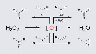 Graphical abstract: Green oxidation with aqueous hydrogen peroxide