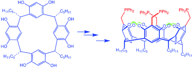 Graphical abstract: Synthesis of a resorcinarene-based tetraphosphine-cavitand and its use in Heck reactions