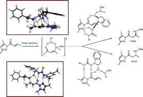 Graphical abstract: What is the mechanism of amine conjugate additions to pyrazole crotonate catalyzed by thiourea catalysts?
