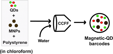 Graphical abstract: Engineering multifunctional magnetic-quantum dot barcodes by flow focusing
