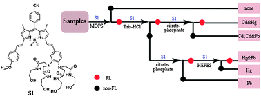 Graphical abstract: Modulating the selectivity of near-IR fluorescent probes toward various metal ions by judicious choice of aqueous buffer solutions